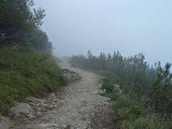 Scenic view of forest against sky during foggy weather