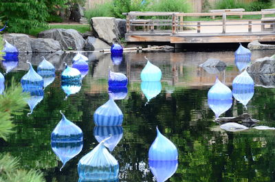 Reflection of trees in water