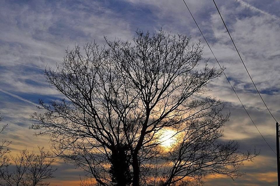 silhouette, bare tree, sunset, sky, low angle view, tree, tranquility, branch, beauty in nature, cloud - sky, scenics, tranquil scene, nature, sun, cloud, cloudy, idyllic, outdoors, sunlight, no people