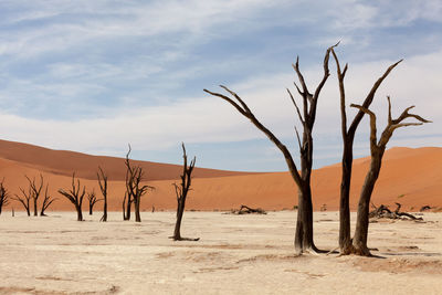 Scenic view of desert against sky