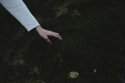 Cropped hand of woman touching moss on rock