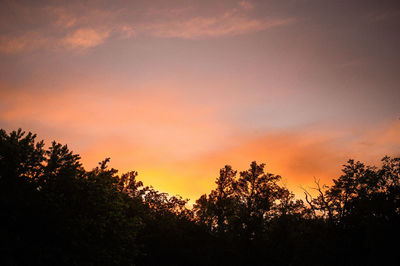 Low angle view of silhouette trees against romantic sky