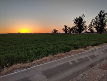Scenic view of agricultural field against sky during sunset