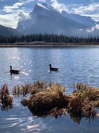 Scenic view of lake against sky