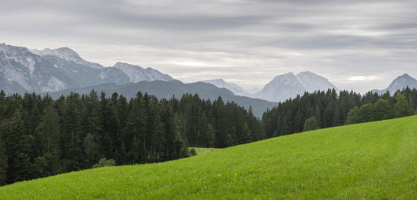 Scenic view of landscape and mountains against sky