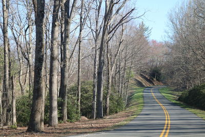 Road amidst bare trees against sky