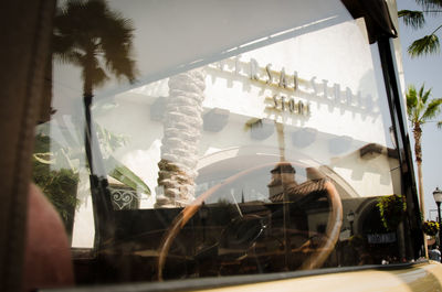 Reflection of trees on glass window