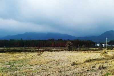 Scenic view of field against sky