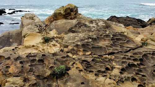 Close-up of rock formation at beach