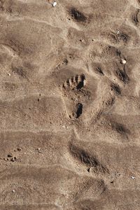 High angle view of footprints on sand