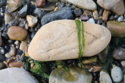 Close-up of stones on rock