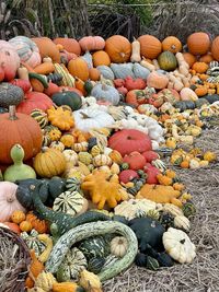 High angle view of pumpkins in market