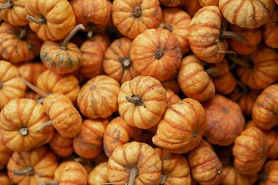 Full frame shot of pumpkins at market stall