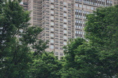 Low angle view of buildings in city