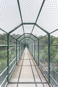 View of greenhouse