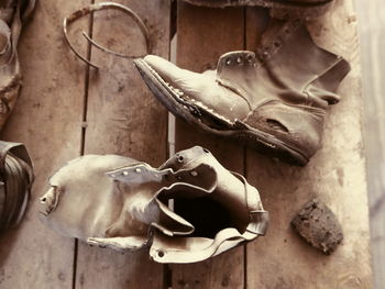 Close-up of animal skull