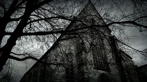 Low angle view of bare trees against the sky