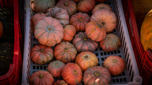 High angle view of pumpkins for sale in market