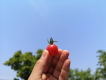 Close-up of hand holding strawberry against sky