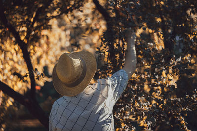 Rear view of man standing by tree