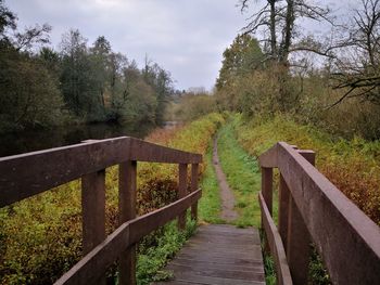 Wooden footbridge amidst trees in forest against sky