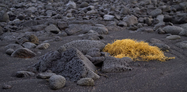 Close-up of sand on beach