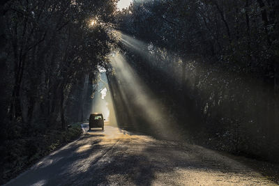 Car on road amidst trees in forest