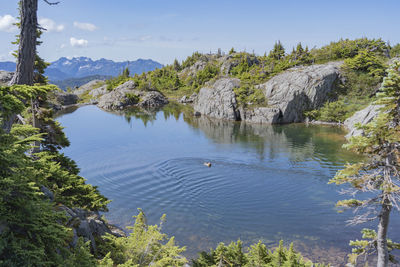 Scenic view of lake and mountains