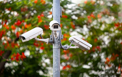 Close-up of security camera on pole against trees