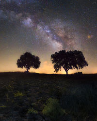 Trees on field against sky at night