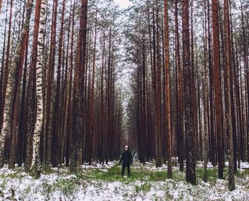 Man standing amidst trees in forest during springtime
