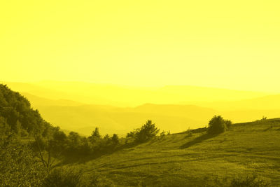 Scenic view of field against sky during sunset