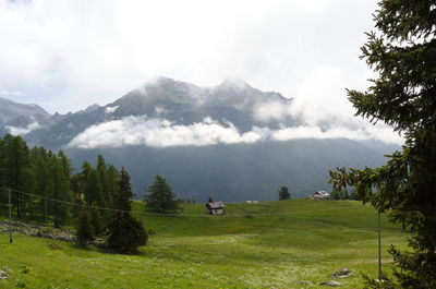 Scenic view of landscape against sky