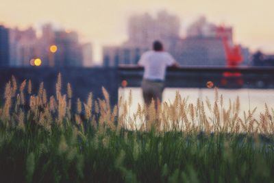 Rear view of man standing on field against sky