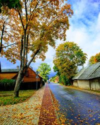 Autumn leaves on road amidst trees and buildings against sky