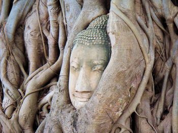 Close-up of buddha statue