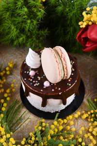 Close-up of chocolate cake on table