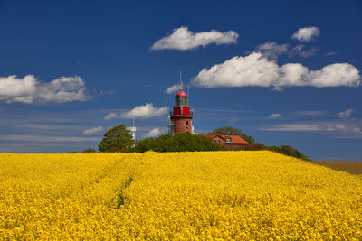 Scenic view of oilseed rape field against sky