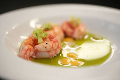 Close-up of prawns served in plate