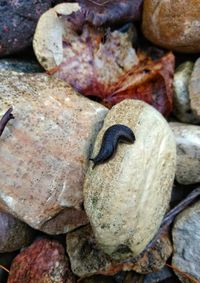 Close-up of stones on rock