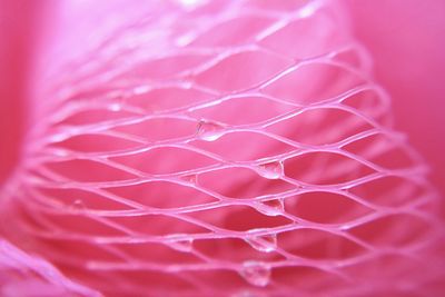 Full frame shot of pink pattern