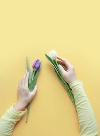 Cropped hand of woman holding leaf against yellow background