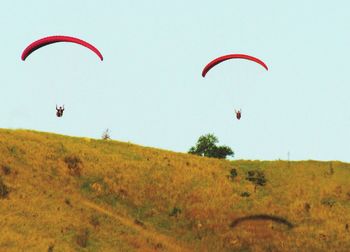 Low angle view of hot air balloons