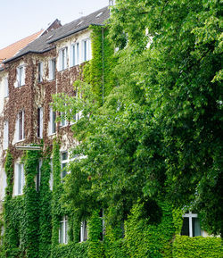 Low angle view of building