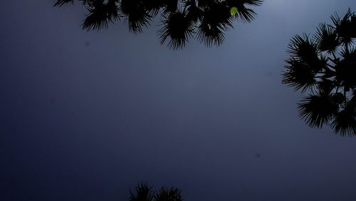 Low angle view of silhouette trees against clear sky