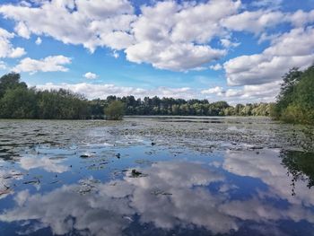 Reflection of trees in calm lake