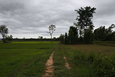 Scenic view of field against sky