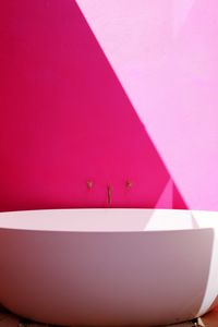 Close-up of pink flower on table against wall
