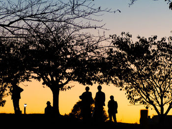 Silhouette bare trees against sky at sunset