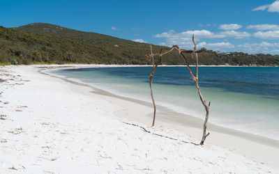 Torndirrup national park close to albany, western australia